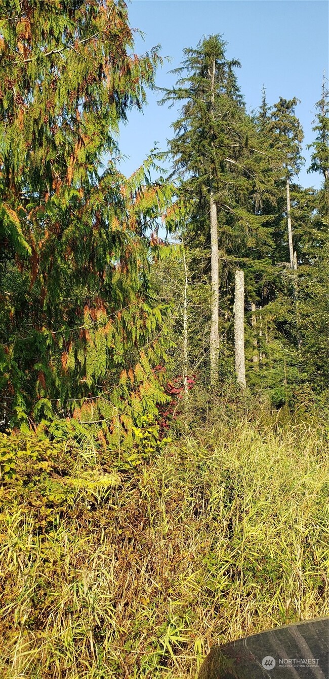 209 XX Lake Riley Rd, Arlington, WA 98223 - photo 4