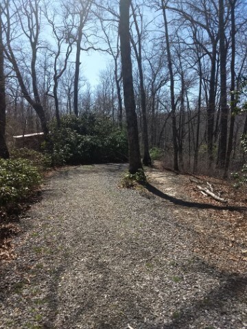 Road leading to building
