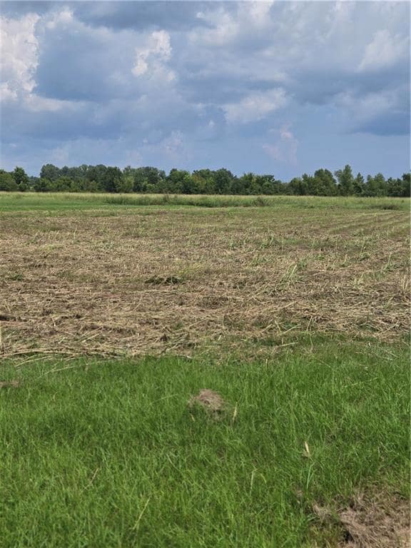 1209 Hampton Rd, Natchitoches, LA 71457 - photo 5