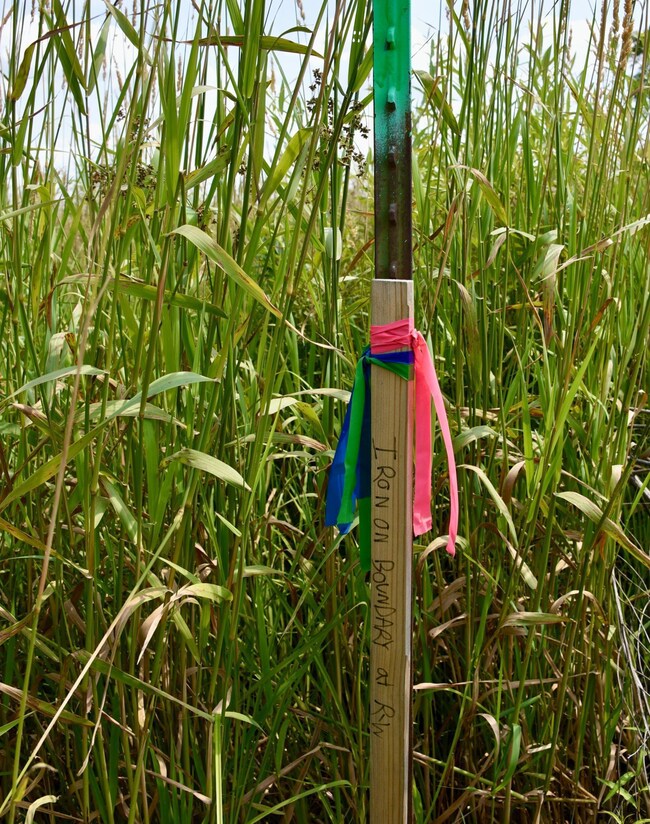 Parcels being marketed have been surveyed with corners marked 4/1/2024.