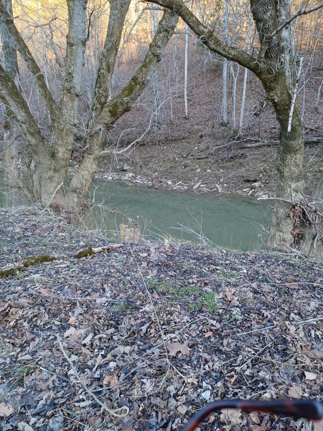 4699 Talmage Mayo Rd, Harrodsburg, KY 40330 - photo 2