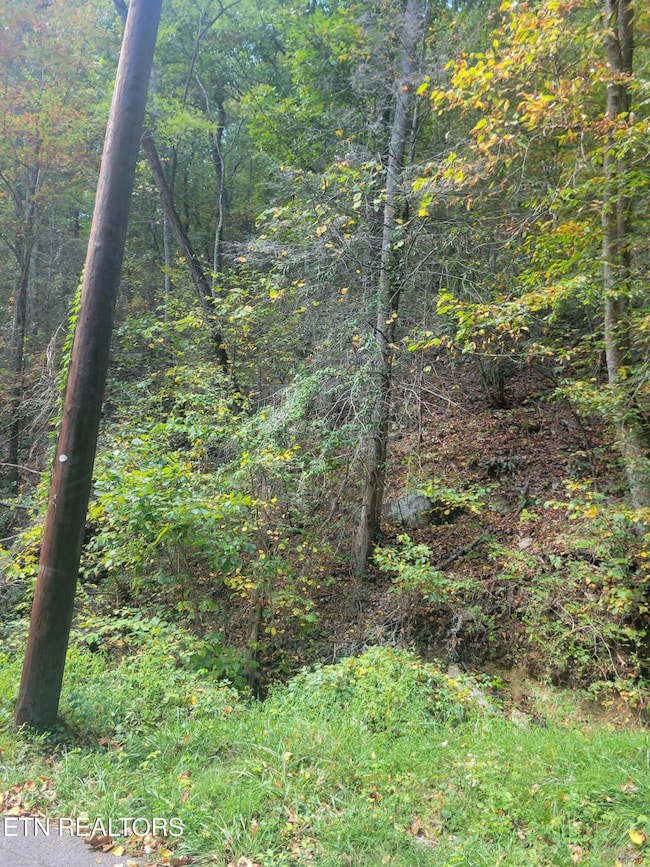 0 Alpine Dr unit 1283013, Sevierville, TN 37876 - photo 5