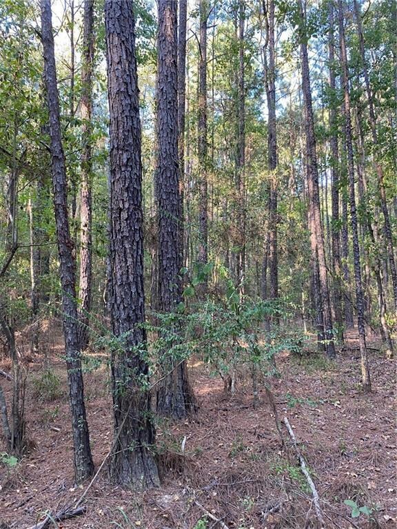 04 E Yeager Dr, Ball, LA 71405 - photo 7