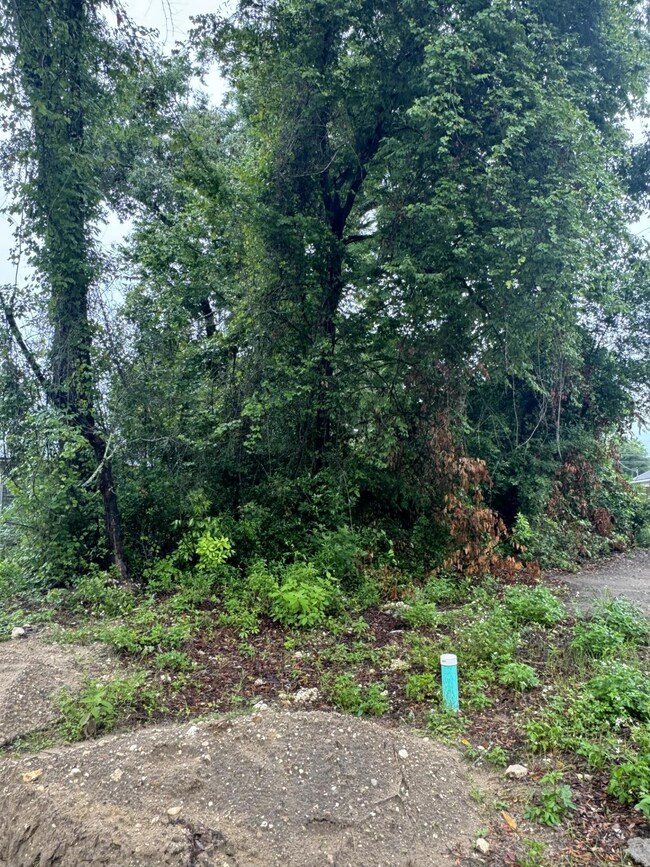 XX Comanche Trail, Wakulla, FL 32327 - photo 2