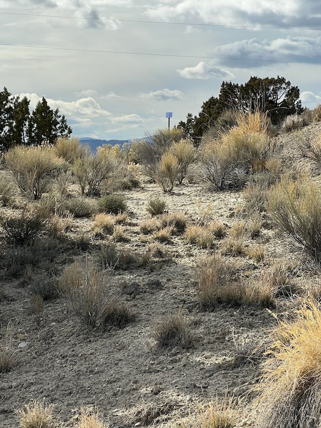 N/A Grant Ave, Spring Creek, NV 89815 - photo 6