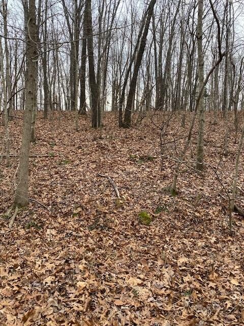 0 Devonshire (Lot 27) Ln unit 1172567, Bella Vista, AR 72715 - photo 3