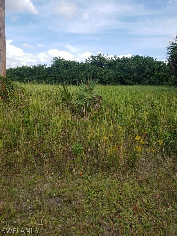 View of part of the lot