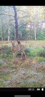 4177 S Michway, Baldwin, MI 49304 - photo 3