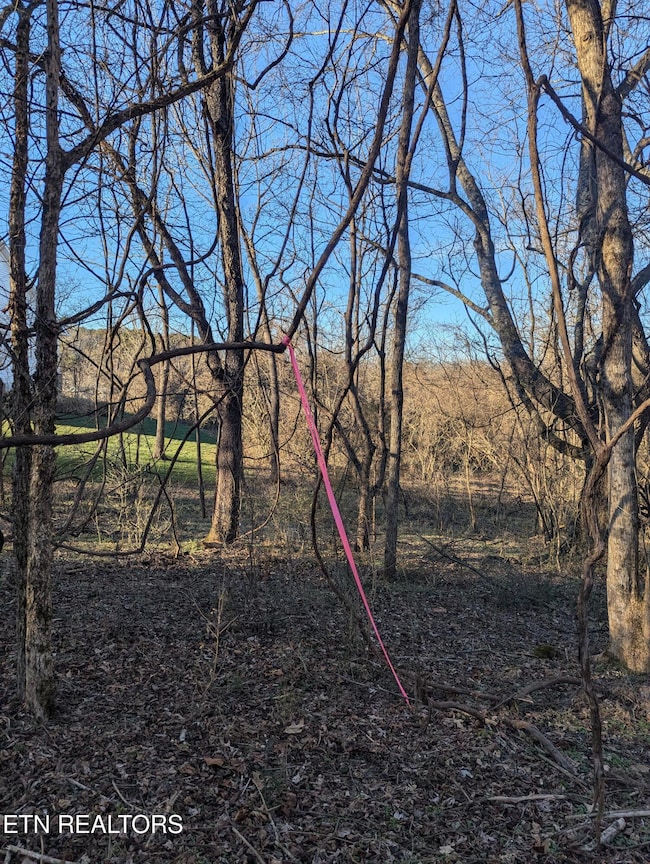 PXL_20250129_212641363