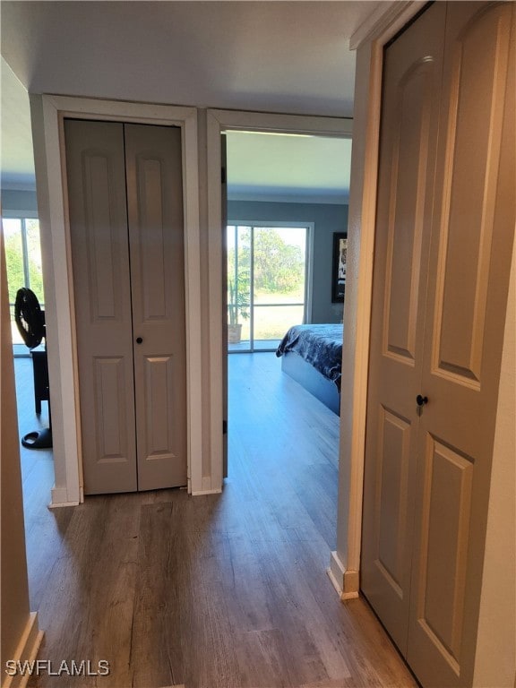 Hallway with dark wood-style flooring