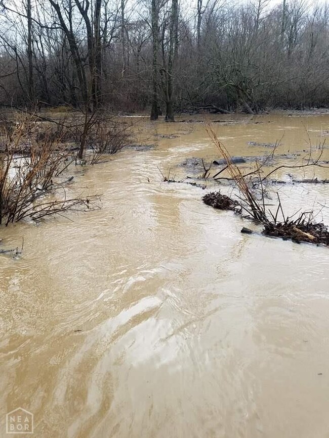 8250 U S 412, Paragould, AR 72450 - photo 7