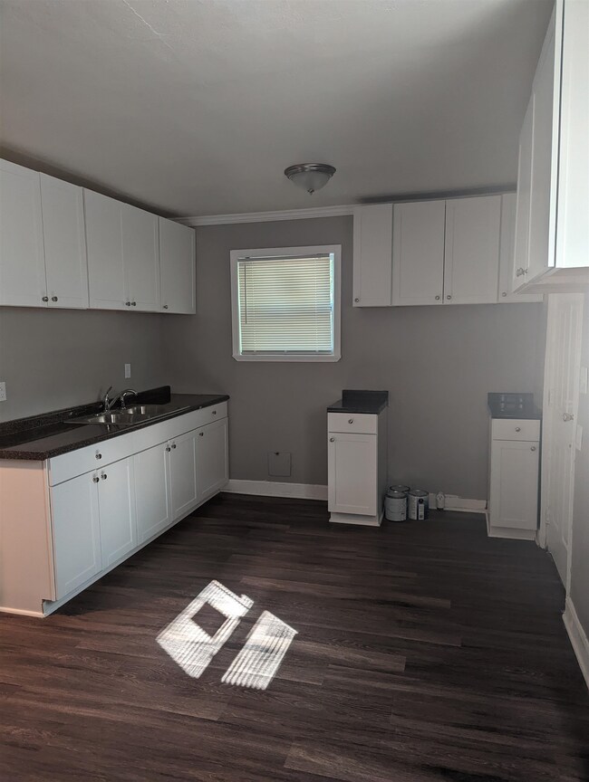 Located in the back of the home is the spacious kitchen.  New Cabinets, pantry, new flooring.  You will love cooking in this kitchen.