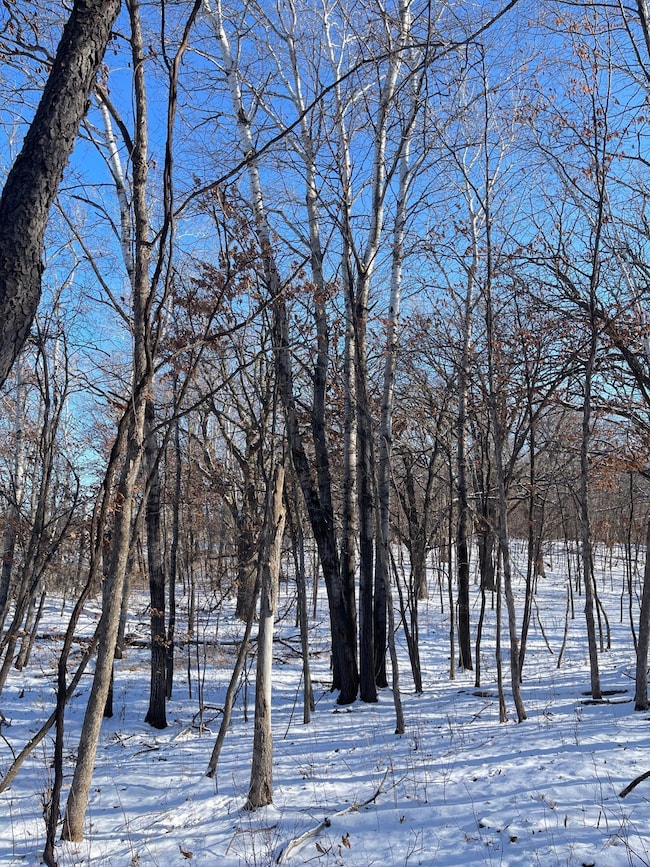 B1 L11 181st Ave NW, Oak Grove, MN 55303 - photo 5