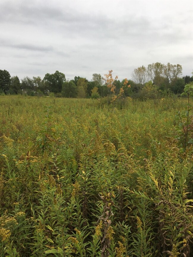 16 N 281st W, Valparaiso, IN 46385 - photo 3