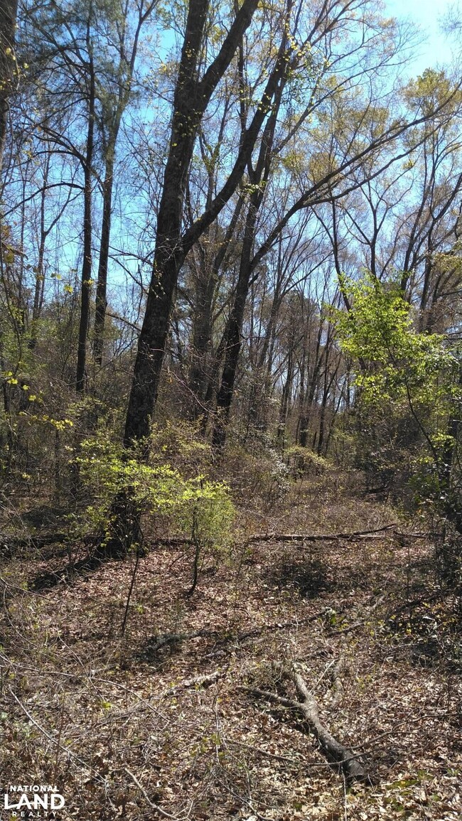 0 County Road 18 unit 15525411, Headland, AL 36345 - photo 5