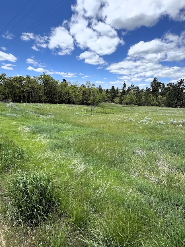 E2 Soaring Eagle Rd, Hulett, WY 82720 - photo 5