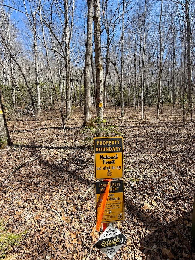 3088 Little Choga Rd, Topton, NC 28781 - photo 4