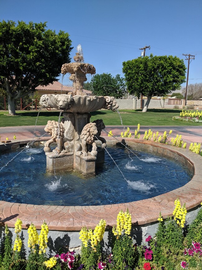 Fountain