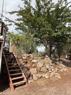 Back steps