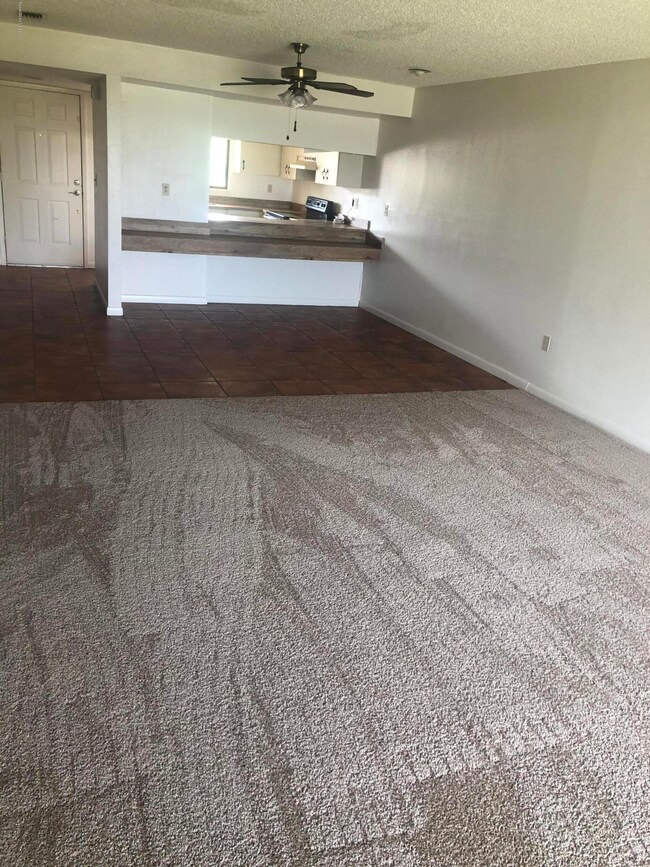 Canebreakers 204 (5)