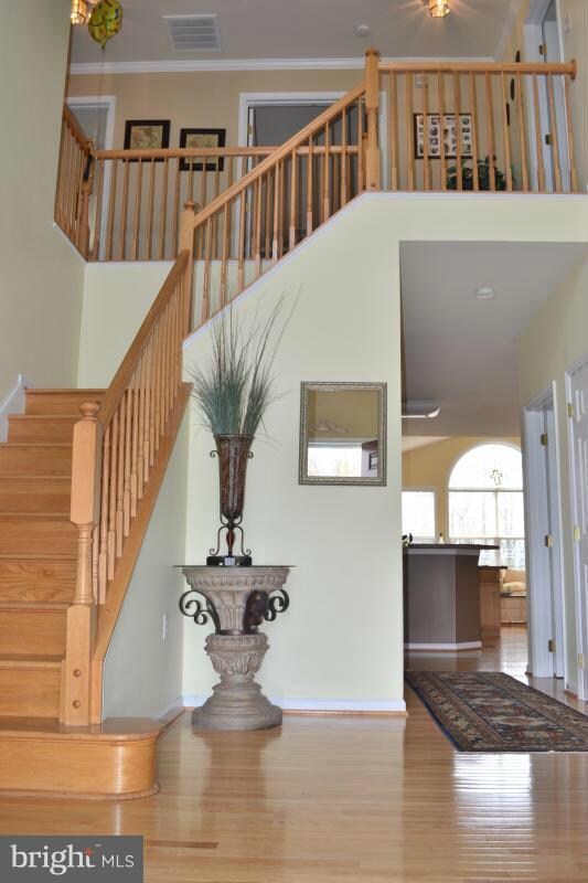 100 Blackpowder Ct, Winchester, VA 22603 - photo 3