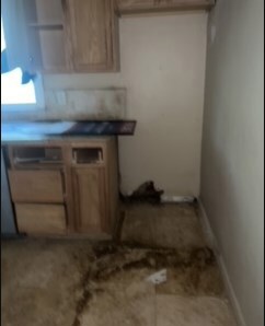 1645 Peavine Rd, Rock Spring, GA 30739 - photo 6