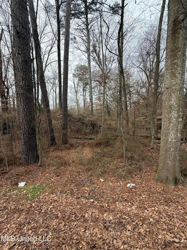 01 N Jordan St, Carthage, MS 39051 - photo 4