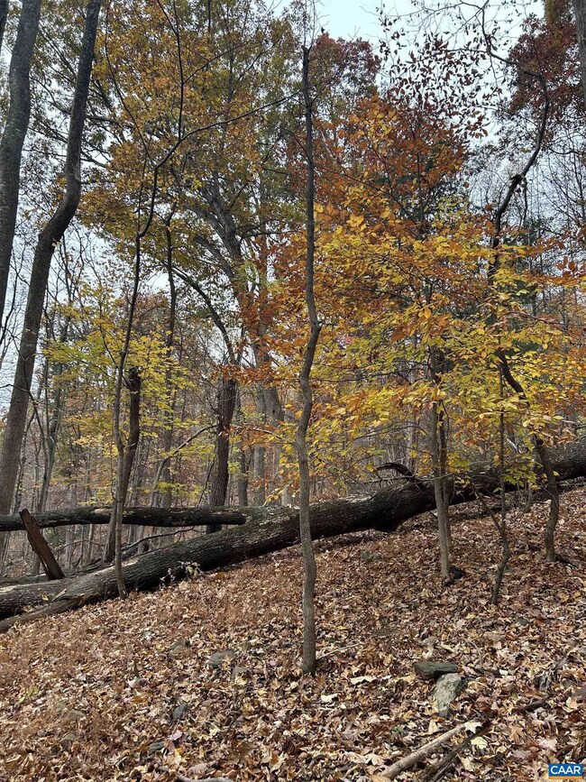 355 Stone Chimneys Rd unit 26, Nellysford, VA 22958 - photo 3