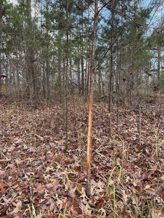 San Roc Rd, Grenada, MS 38901 - photo 7