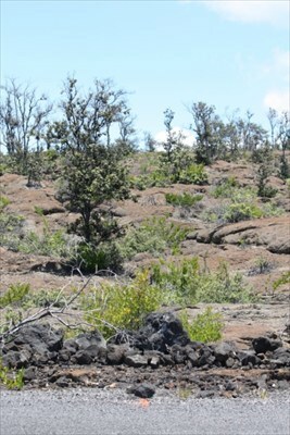Here's a view from Iwalani Parkway of the middle of lot 23, block 143.  The rolling Pahoehoe lava makes it very easy to walk through this lot.