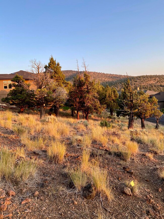 1220 Sweeping View Ct, Redmond, OR 97756 - photo 6