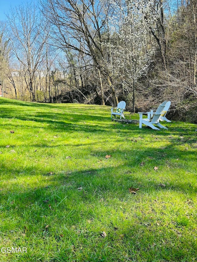 214 Cody Dr, Sevierville, TN 37862 - photo 4