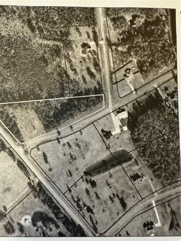 Lot 1 Wildwood Country Estates Thoroughbred Rd, Woodbine, GA 31569 - photo 3