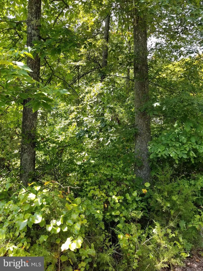 0 Daniels Point Dr unit 1000142603, Orange, VA 22960 - photo 5