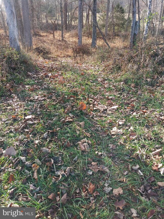 Lot #4 Little Cacapon-Levels Rd, Points, WV 25437 - photo 7