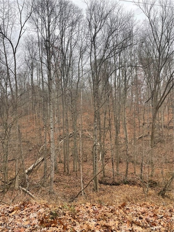 0 McKee Hill Rd unit 5175088, Frazeysburg, OH 43822 - photo 5