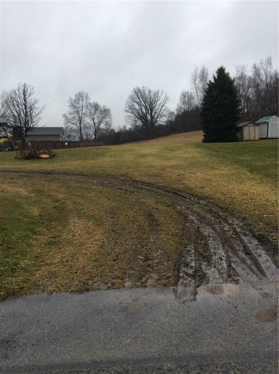 Entrance onto property property from Ellenberger Road - Drive way run to main piece of property starting at large pine on the right.