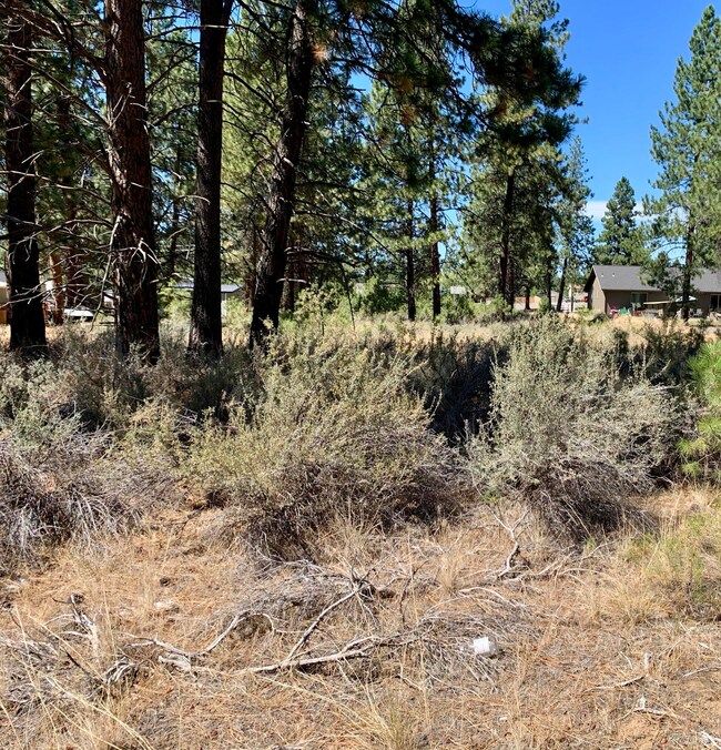 Vacant Lot