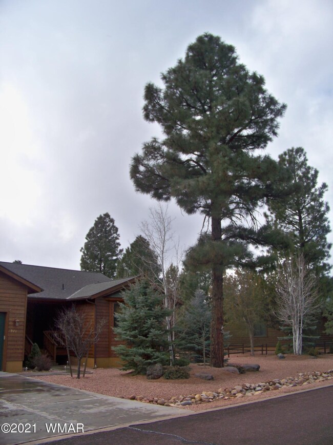 971  N Needles Creek Dr Front w Ponderos