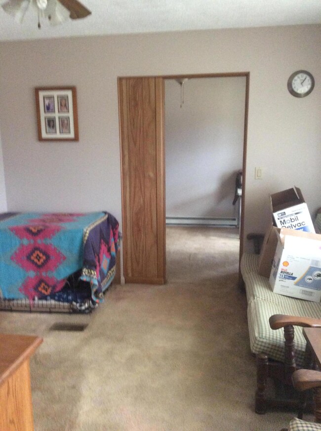 351 Ants Hill Rd, Bloomsburg, PA 17815 - photo 4