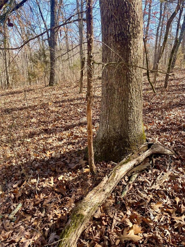 0 Maries County 518 Rd unit 23006790, Rolla, MO 65401 - photo 2