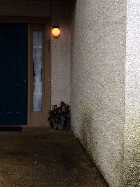 227 Walmar Grove, Saint Simons Island, GA 31522 - photo 3