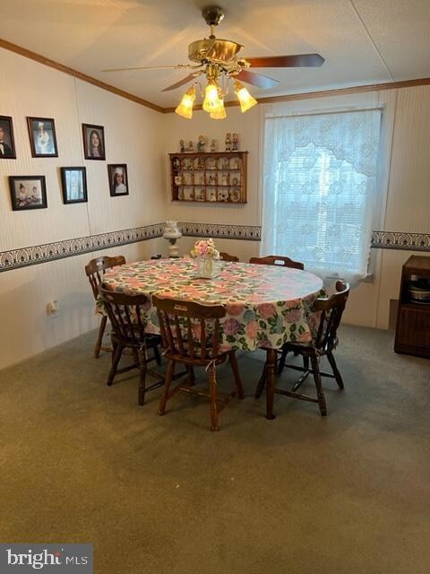 117 Mockingbird Ln, Mantua, NJ 08051 - photo 7