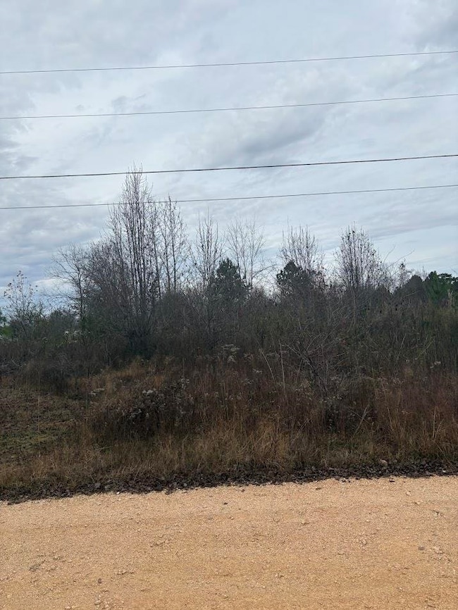 44 Faires Dr, Killen, AL 35645 - photo 3