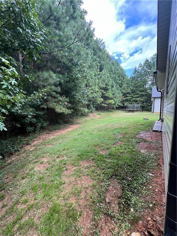 View of grassy yard featuring a trampoline
