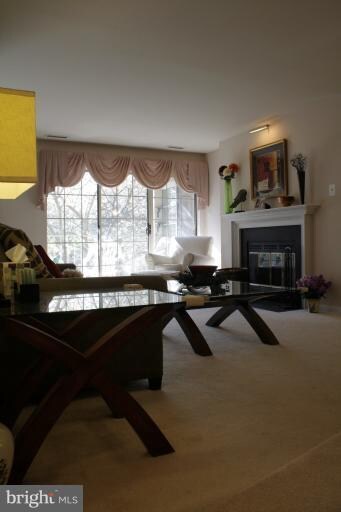 22 Rainflower Path unit 203, Sparks Glencoe, MD 21152 - photo 6