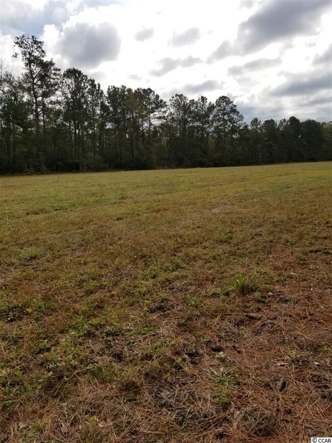 5 S Carolina 66, Conway, SC 29526 - photo 3