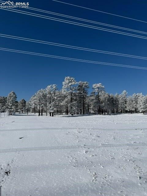 12196 Goodson Rd, Colorado Springs, CO 80908 - photo 3