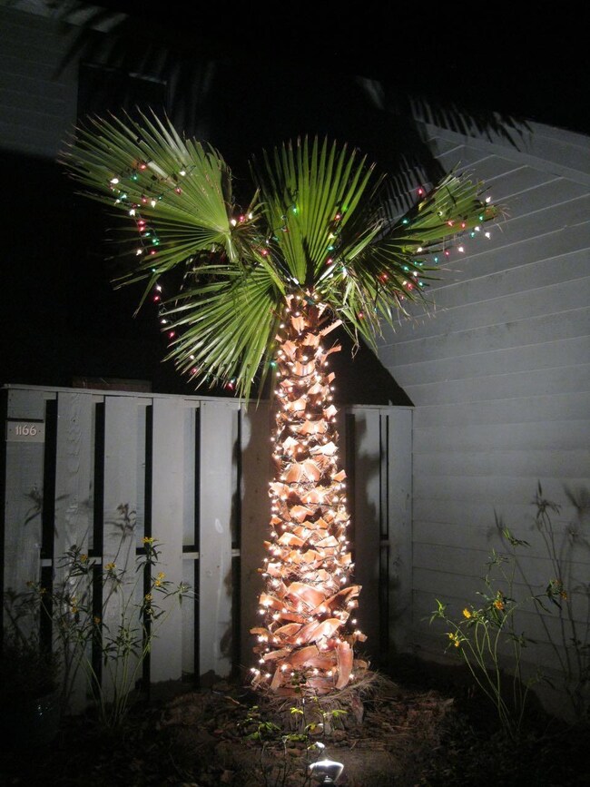christmas 2013 187
