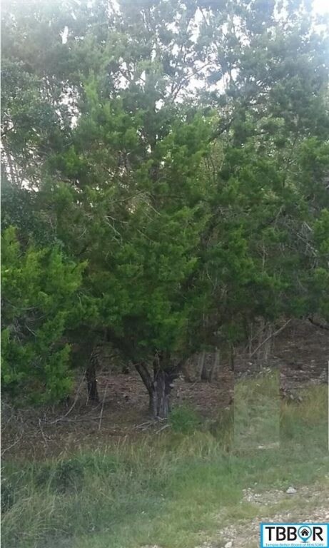 5152 Goliad Dr, Temple, TX 76502 - photo 7